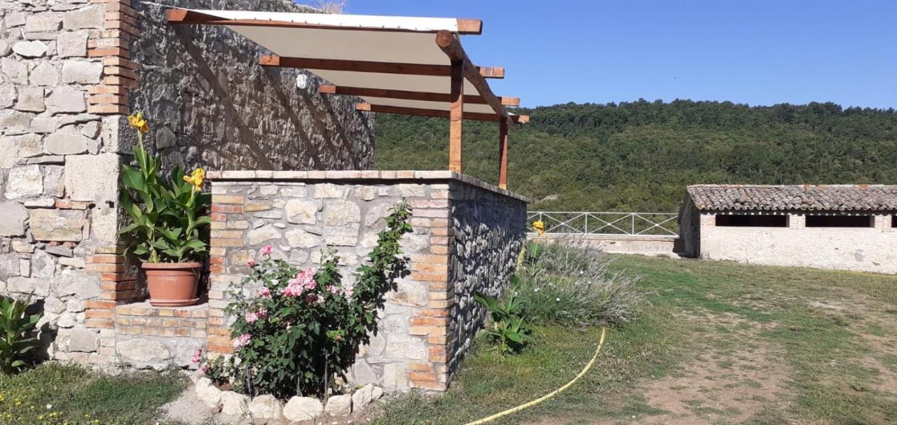 Casale Al Lago Con Piscina E Sauna Corbara  Екстериор снимка