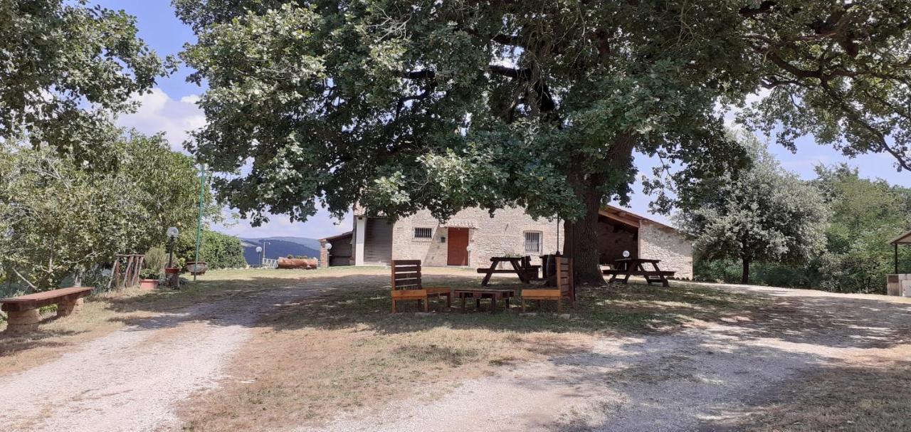 Casale Al Lago Con Piscina E Sauna Corbara  Екстериор снимка