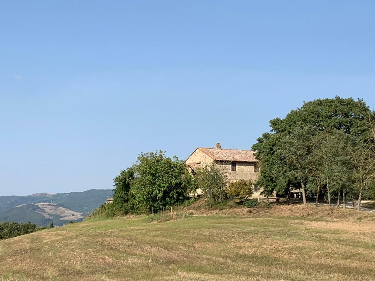Casale Al Lago Con Piscina E Sauna Corbara  Екстериор снимка